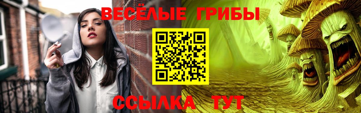APVP Рязань