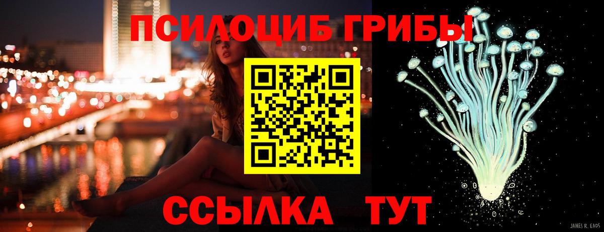 Рязань  Галлюциногенные грибы Psilocybe  Псилоцибиновые грибы MAGIC MUSHROOMS  Вход с VPN 